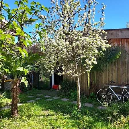 Un Jardin En Ville Toulouse Extérieur photo