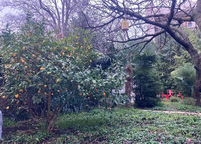 Un Jardin En Ville