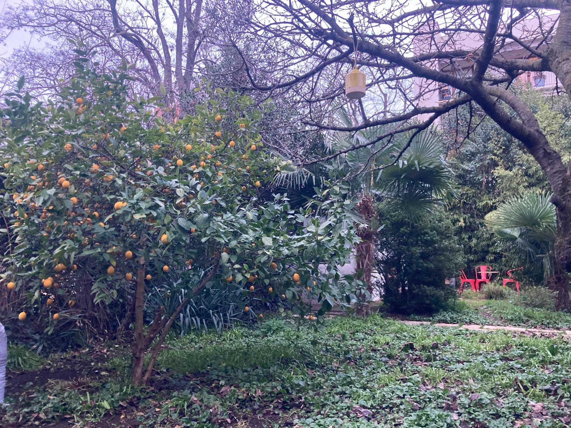 Un Jardin En Apartamento Toulouse